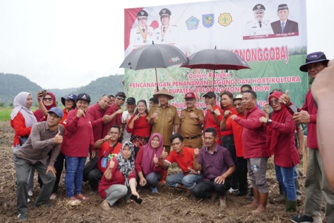 Dampingi Gubernur Sulawesi Utara, Limi Mokodompit Canangkan Penanaman Jagung Dan Holtikultura Di Bolmong